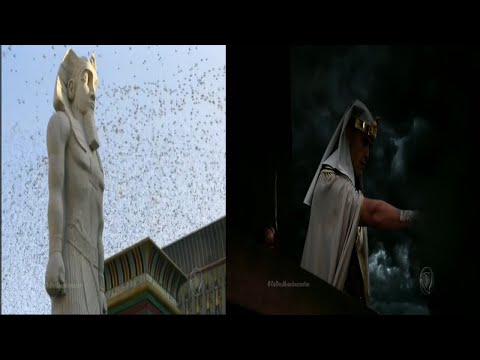 ESTUDO BÍBLICO / ÊXODO 10 - GAFANHOTOS, TREVAS