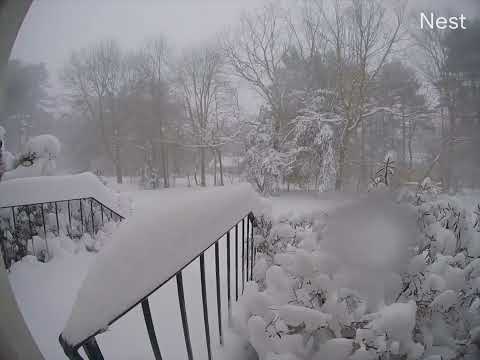 Blizzard Jan.  2022 - Stoughton, MA