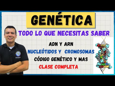 GENETICA, CROMOSOMAS, ADN Y ARN, CODIGO GENETICO, NUCLEOTIDOS, MUTACIONES, BASES NITROGENADAS.