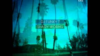 DJ Funky T - Stress Evasion - Deeper Shades Rec DEEP HOUSE MOODY