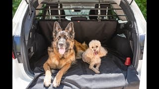 Traveling by car with your dog: how to make it easier and safer with a dog car barrier.