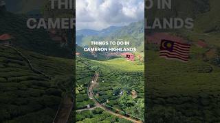 Download lagu things to do in cameron highlands, malaysia 🇲🇾 #cameronhighlands #malaysiatravel #digitalnomad mp3
