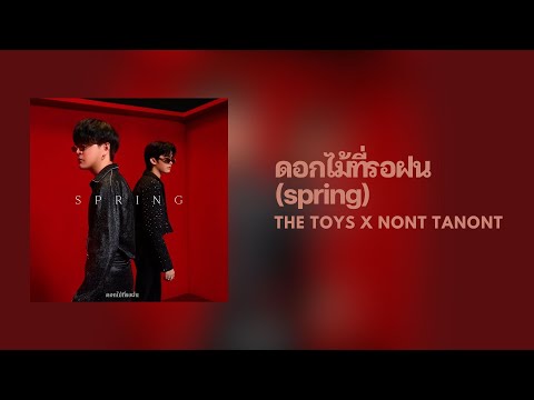 [Lyrics] ดอกไม้ที่รอฝน (spring) - THE TOYS x NONT TANONT (Thai/Eng/Rom/中字)