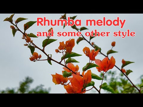 Rhumba melody and some other style, New relaxing instrumental music, RLX Vgreen music