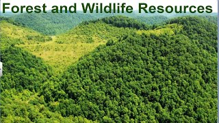 CBSE Class 10 Geography - 2 || Forest and Wildlife Resources || Full Chapter || By Shiksha House