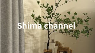 【vlog】フルタイムワーママ👩🏻/スキンケア💆🏻‍♀️/休日モーニングルーティン☀️/メイク用品紹介💄