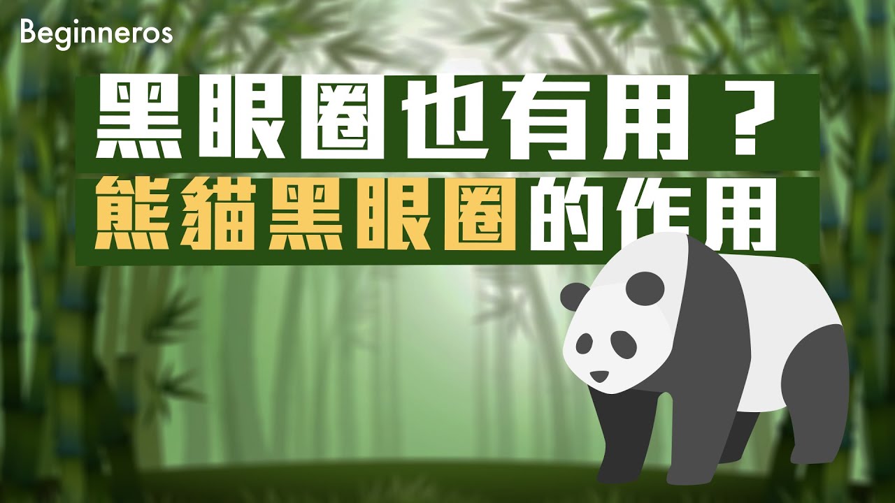 大熊貓黑眼圈的作用
