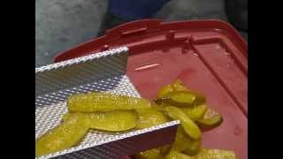 The Smooth Move™ Linear Feeder is ideal for wet foods.