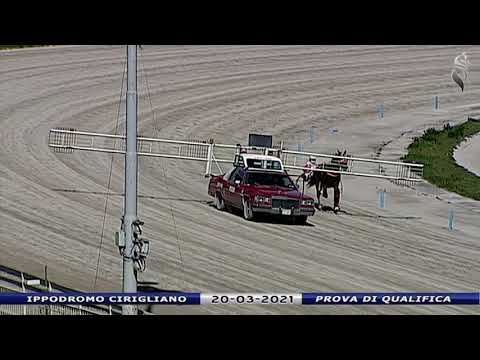 Aversa trotto 20 Marzo 2021 - Prova di qualifica