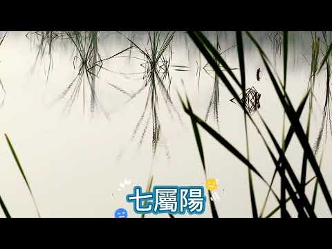 河洛理數排盤