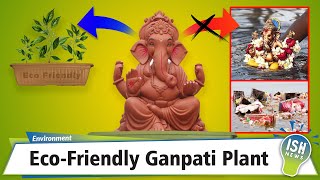 Eco-Friendly Ganpati Plant