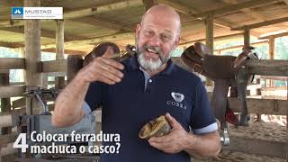 Miniatura do vídeo