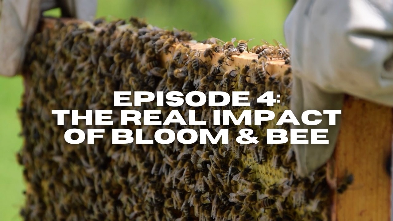 Behind The Brand | Episode 4: Our Impact