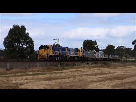 X50+X48+G523+BL27 head out of Stawell with an empty grain train to Warracknabeal, Vic