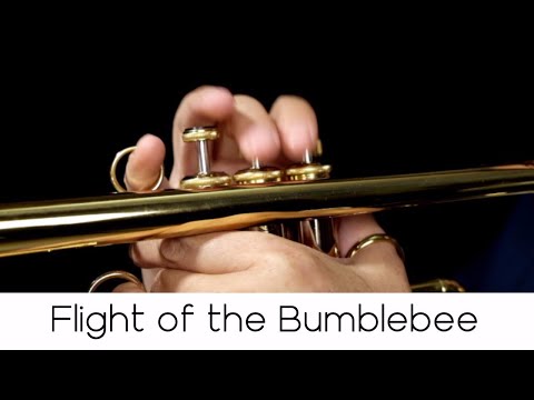 "Flight of the Bumblebee" (Classical Series n.7) - Andrea Giuffredi trumpet