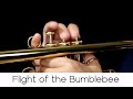 "Flight of the Bumblebee" (Classical Series n.7) - Andrea Giuffredi trumpet