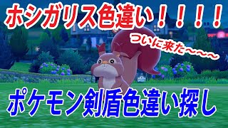 ホシガリス ポケットモンスター デルビル ドロンチ ピクシー ホシガリス ポケットモンスター デルビル ドロンチ ピクシー