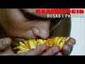 RAMMSTEIN Rosas Parodia