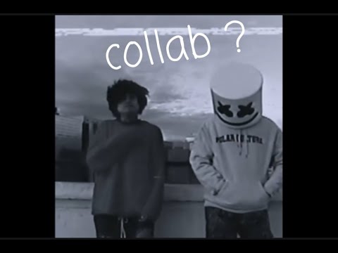 Lil dusty g x marshmellow???🤯 (polar culture)