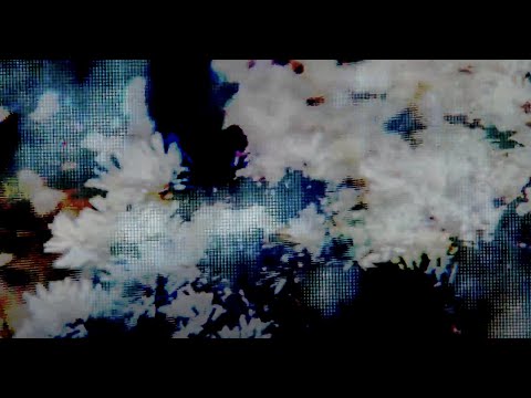 Steve Bates | "Destroy the palace"