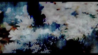 Steve Bates – “Destroy the palace”