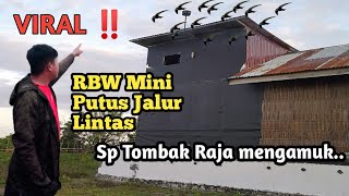 Download lagu Suara Panggil Walet Terbaik ‼️Sp Tombak Raja putus jalur lintas mp3