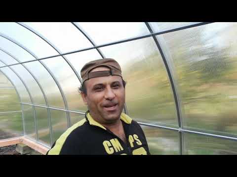 Сбылась мечта! Прикупила по акции теплицу "Лидер".