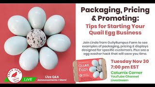 Coturnix Corner LIVE - Starting a Quail Egg Business