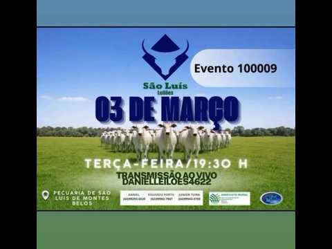 São Luís de Montes Belos - GO   03/03/2026