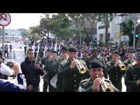 BPVMA - DESFILE MILITAR DE 7 DE SETEMBRO - CURITIBA - 2015
