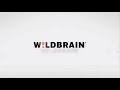 Nickelodeon WildBrain Magic Store Revsered 2010