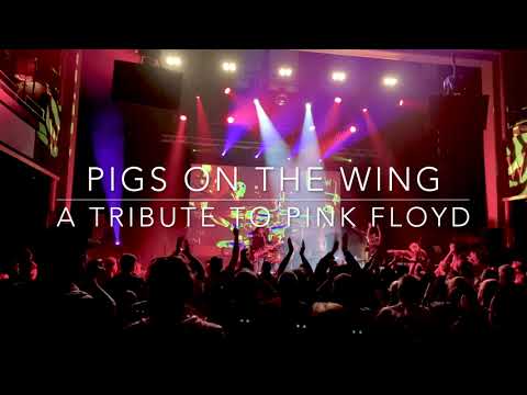 Pigs on the Wing: A Pink Floyd Retrospective 2023-2024  ( 60 sec promo)
