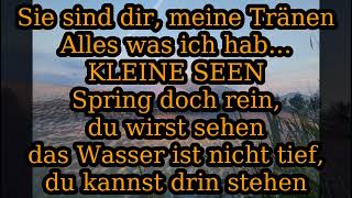 Purple Schulz - Kleine Seen TEXT