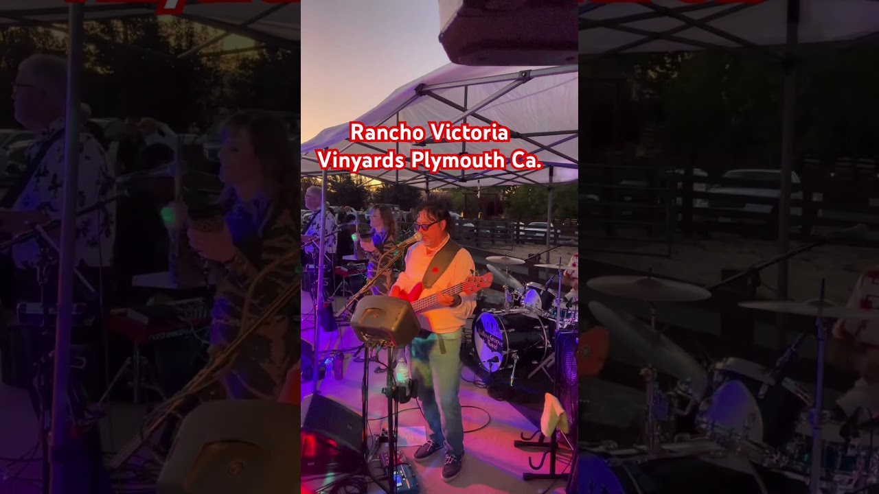 Promotional video thumbnail 3 for Valley Groove Band