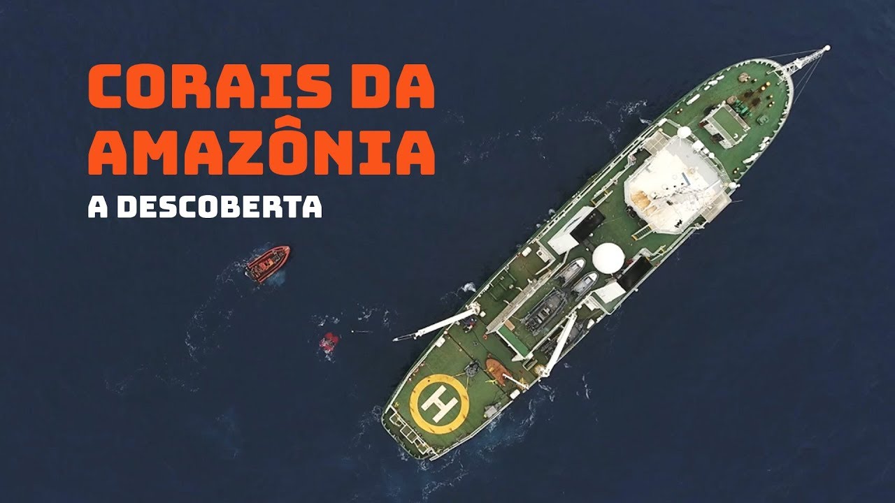 Corais da Amazônia: A descoberta