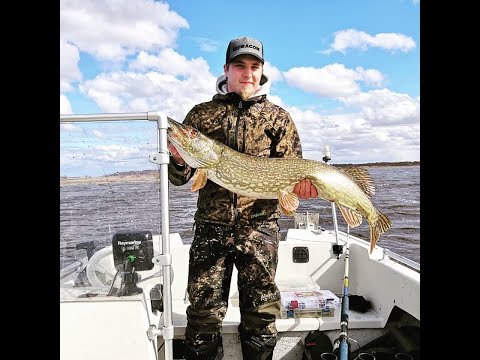 Suuren keväthauen kalastusta