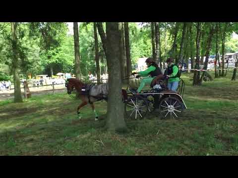 Fahrturnier Alfhausen 22.5.2022