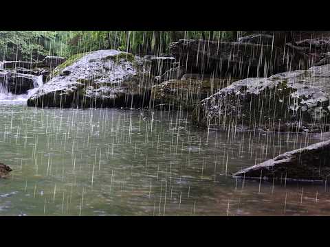 Enjoy the incredibly peaceful sound of nature's rain | Rain sounds for insomnia and deep sleep