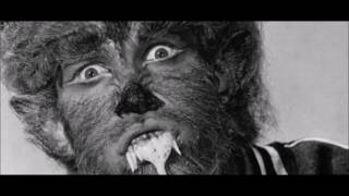 The METEORS   I'm the wolfman