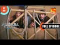Naseeb Ka Khel Ali Baba Dastaan E Kabul Ep 40 Full Episode 6 Oct 2022