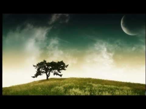 Alex Wurman - You're My Favorite