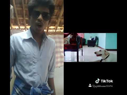 Dog and ajithkumar
