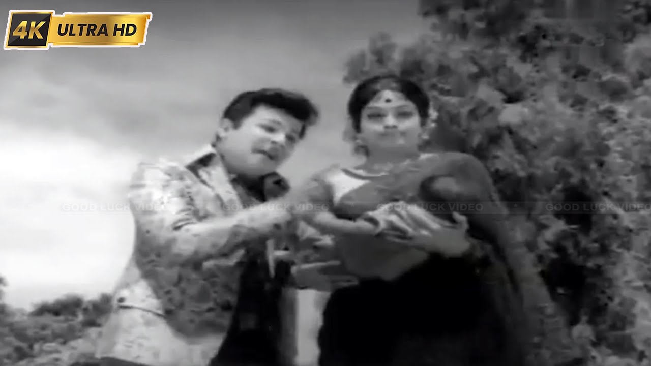 Patteduthu Virikkava Song Lyrics | Unakkum Enakkum | T. M. Soundararajan