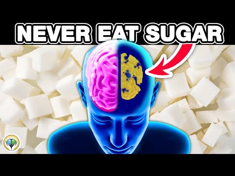 Sugar and Your Brain（Sugar and Your Brain）