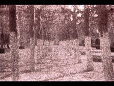 Jamal Studio- Soliloquio de un sol y un loco