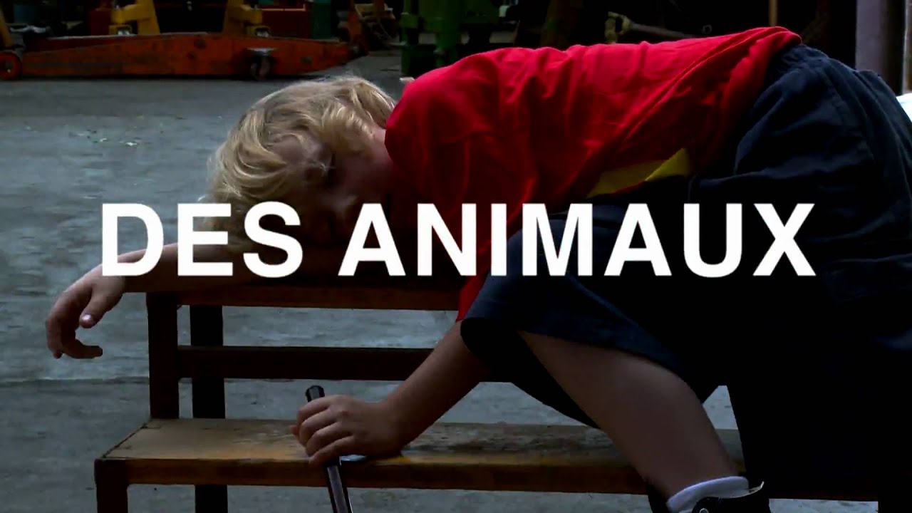 Miniature de la vidéo FILM SOCIALISME JL  GODARD TRAILER 6 du film Film Socialisme