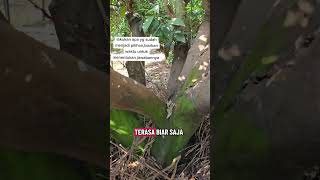 Download lagu What are you thinking right now? #recommendations #latestmusic #cover #coversong #bestpopsongindo... mp3