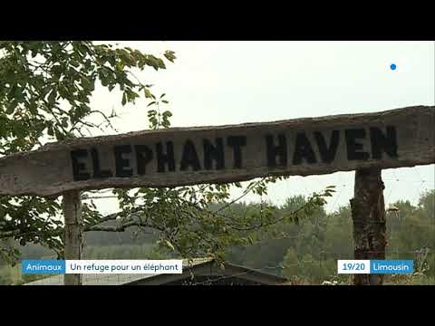 La justice ne veut pas accorder sa retraite à Samba