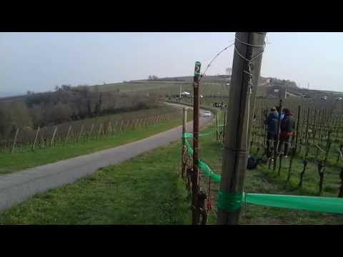 2 Rally Dei Colli Scaligeri 2017