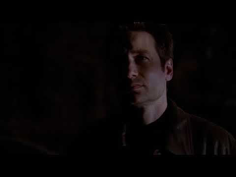 The X-Files - Mulder finally finds out the truth about Samantha [7x11 - Closure]